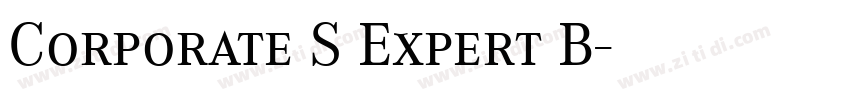 Corporate S Expert B字体转换